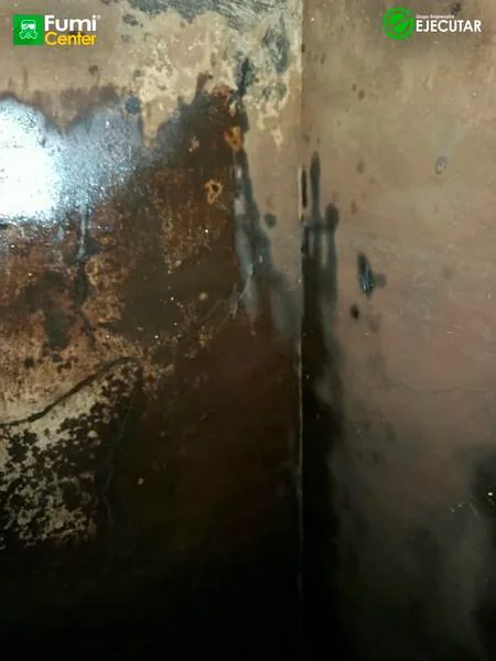 Lavado y desinfección de tanques de agua — Registraduría – Delegación Magdalena · FumiCenter (foto 05)