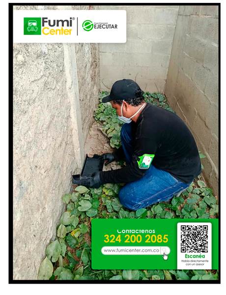 Control de Roedores en Santa Marta: instalación y revisión de estaciones cebaderas por técnico de FumiCenter (foto 01)
