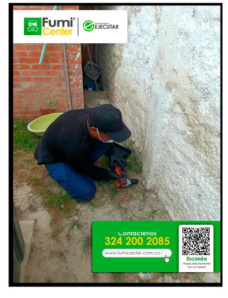 Control de Roedores en Santa Marta: instalación y revisión de estaciones cebaderas por técnico de FumiCenter (foto 02)
