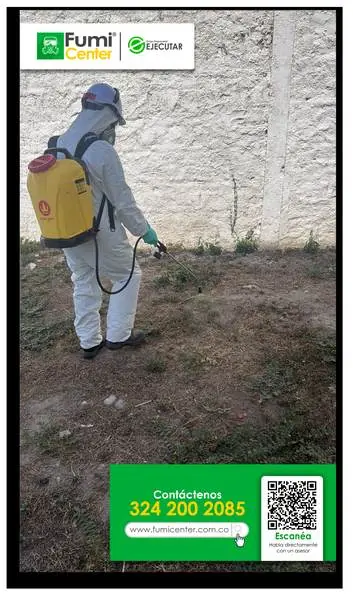 Fumigación profesional en Santa Marta: técnico de FumiCenter con equipo de protección aplicando insecticida (foto 06)