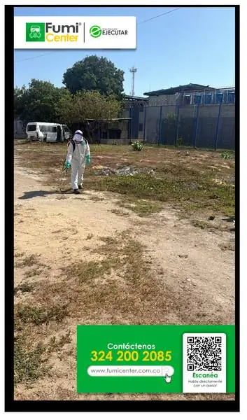 Fumigación profesional en Santa Marta: técnico de FumiCenter con equipo de protección aplicando insecticida (foto 07)
