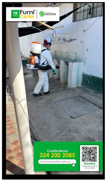 Fumigación profesional en Santa Marta: técnico de FumiCenter con equipo de protección aplicando insecticida (foto 10)
