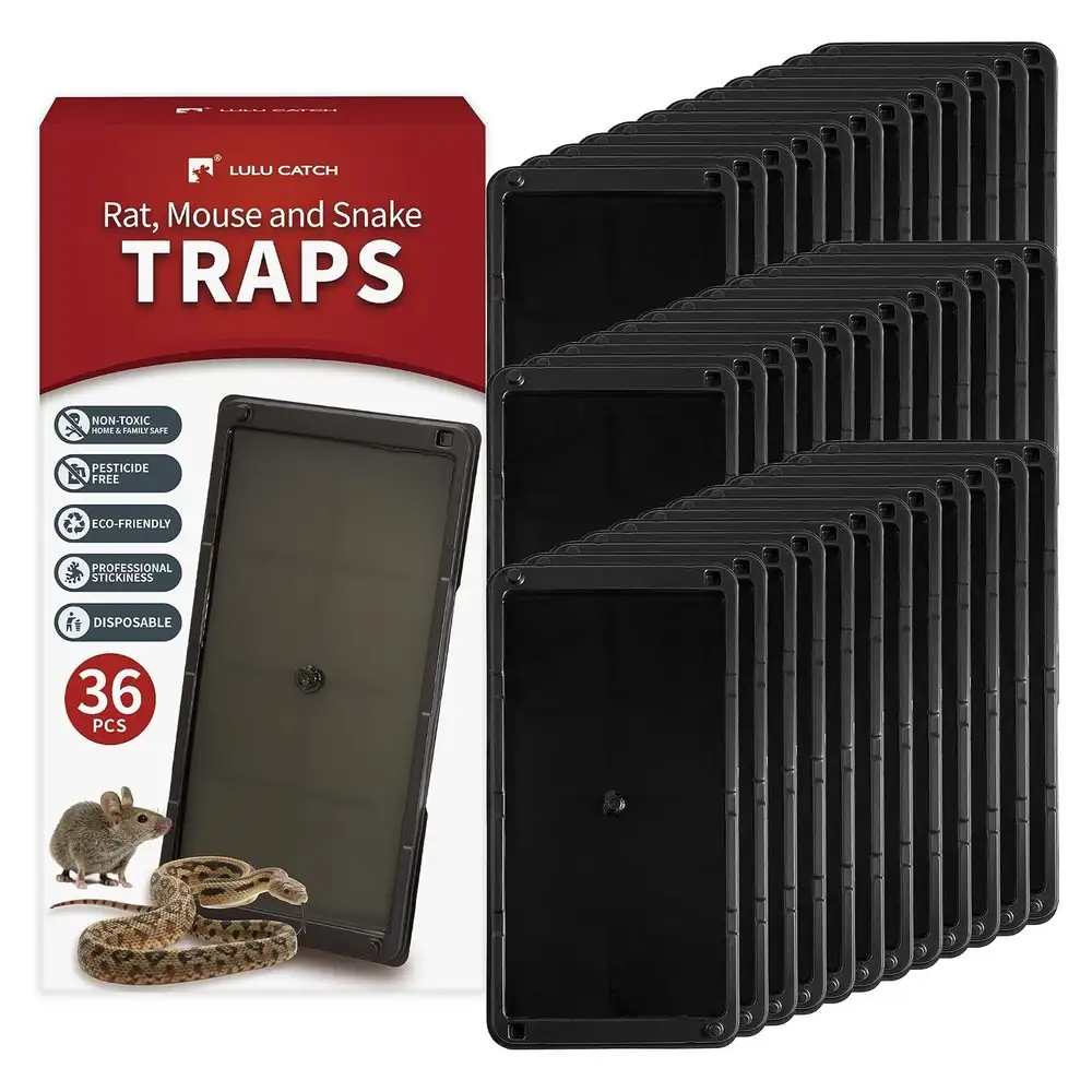 Trampas adhesivas plásticas Lulu Catch × 36 para ratas y ratones — bandejas plásticas adhesivas de gran formato para ratas, ratones y · FumiCenter